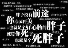 梅花视频mh03
